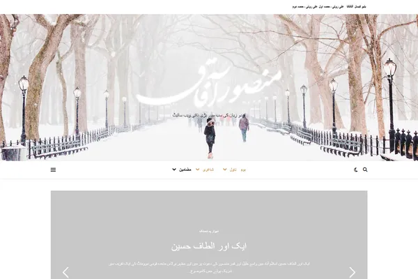 Website Work Samples